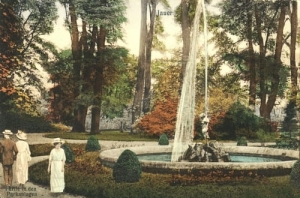 Jawor park - Reprodukcja 16560