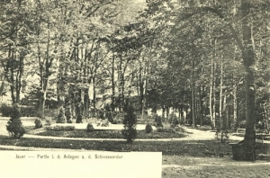 Jawor park - Reprodukcja 16561