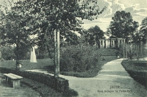 Jawor park - Reprodukcja 16563