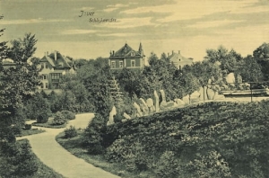 Jawor - Reprodukcja 16565