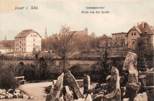 Jawor - Reprodukcja 16566