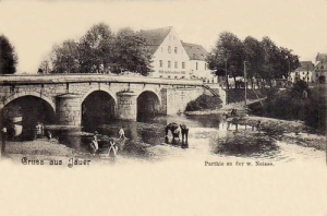 Jawor most - Reprodukcja 16601