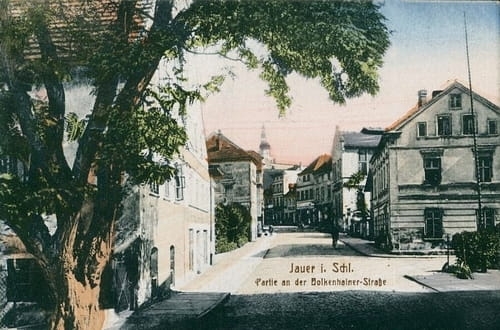 nowe-16608.jpg