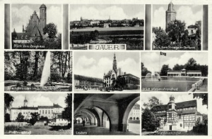 Jawor widokowa - Reprodukcja 16616