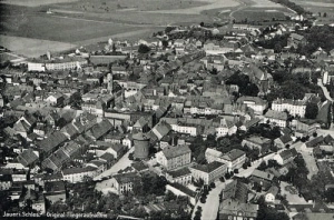 Jawor panorama - Reprodukcja 16620