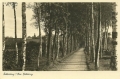 nowe-16156.jpg