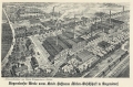 nowe-16707.jpg