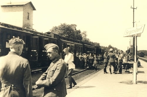 nowe-16727.jpg