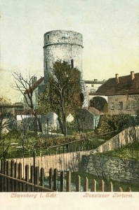 Lwówek Śląski - Reprodukcja 16745