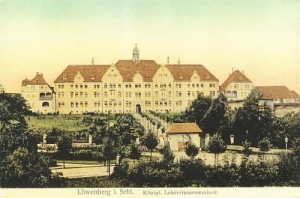 Lwówek Śląski - Reprodukcja 16768