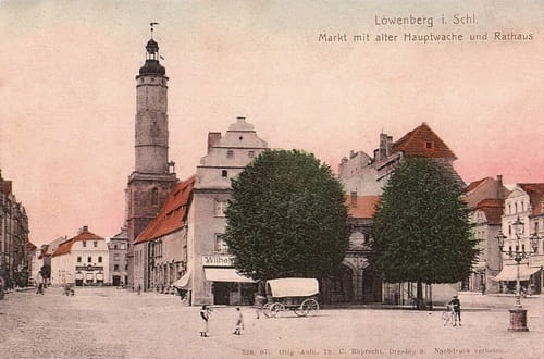 nowe-16775.jpg