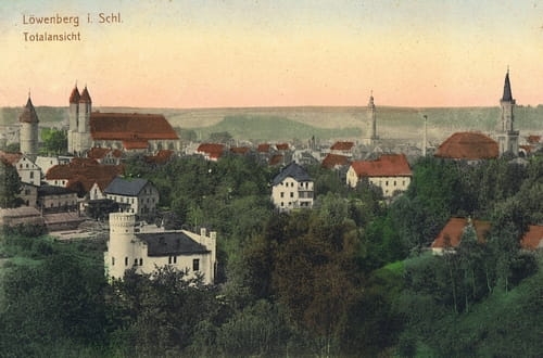 nowe-16780.jpg