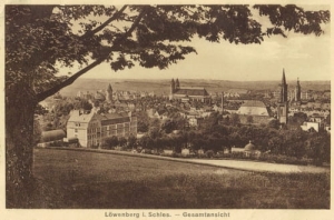 Lwówek Śląski - Reprodukcja 16781