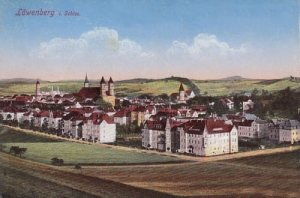 Lwówek Śląski - Reprodukcja 16782