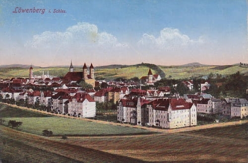 nowe-16782.jpg