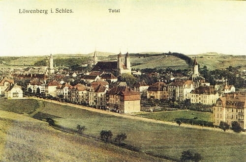 nowe-16784.jpg