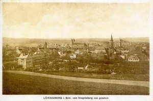 Lwówek Śląski - Reprodukcja 16786