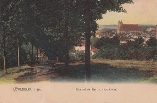 nowe-16788.jpg
