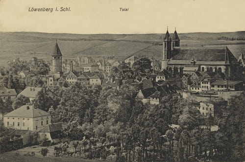 nowe-16790.jpg