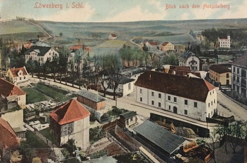 nowe-16792.jpg