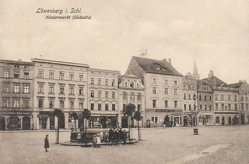 nowe-16800.jpg
