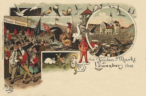 nowe-16810.jpg