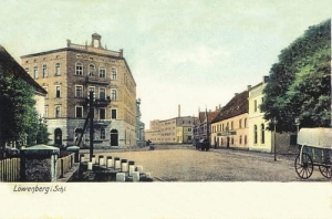 Lwówek Śląski - Reprodukcja 16841