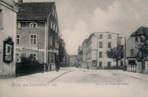 Lwówek Śląski - Reprodukcja 16842