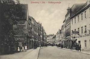 Lwówek Śląski - Reprodukcja 16856