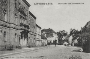 Lwówek Śląski - Reprodukcja 16857