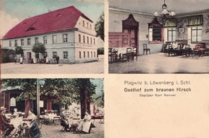 Lwówek Śląski - Reprodukcja 16870