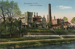 Braniewo Browar - Reprodukcja 16884