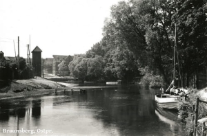 Braniewo Braunsberg - Reprodukcja 16931