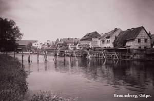 Braniewo Braunsberg - Reprodukcja 16933