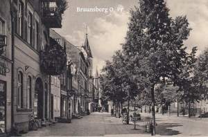 Braniewo Braunsberg - Reprodukcja 16968