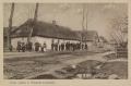 nowe-17166a.jpg