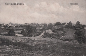 Murowana Goślina panorama-Reprodukcja 17194