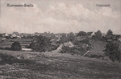 nowe-17194.jpg
