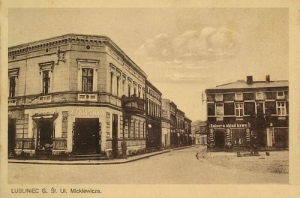Lubliniec ul. Mickiewicza - Reprodukcja 17247