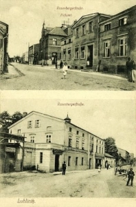 Lubliniec widokowa - Reprodukcja 17250