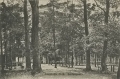 nowe-17264.jpg