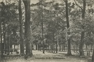 Lubliniec park - Reprodukcja 17264