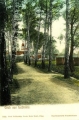 nowe-17286.jpg