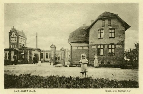 nowe-17287.jpg