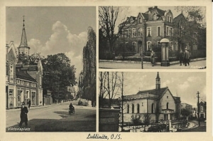 Lubliniec widokowa - Reprodukcja 17316