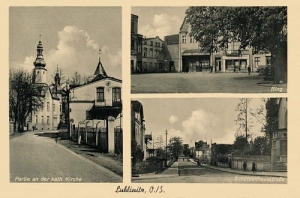 Lubliniec widokowa - Reprodukcja 17317