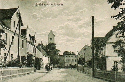 nowe-17331.jpg
