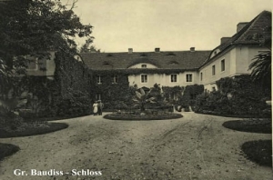 Budziszów Wielki - Reprodukcja 17343