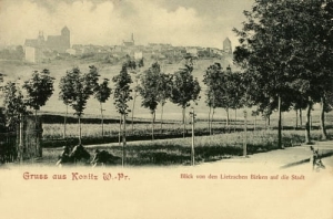Chojnice panorama - Reprodukcja 17414