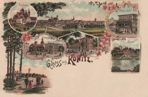 Chojnice widokowa - Reprodukcja 17467